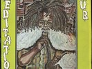 Winston Riley - Meditation Dub JA Techniques LP Listen