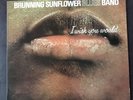 Brunning Sunflower Blues Band      I wish you would      appaloosa