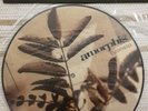 Amorphis Tuonela Picture LP Vinyl