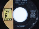 Northern Soul 45 AL WILSON Now I Know What Love Is SOUL CITY HEAR
