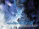 Poison The Well ,The Opposite Of December, Lp, Vinyl
