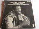 TOOTS & THE MAYTALLS REGGAE GOT SOUL /DOG WAR RARE DJ PROMO ISSUE PICTURE SLEEVE