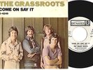 GRASS ROOTS - Come On & Say It - PROMO 45 & Picture Sleeve