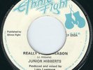Junior Hibberts ( Delgado ) Really For A Reason / Dub 7