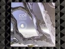 COIL - Musick To Play In The Dark 2 | Etched Pearl Vinyl 2xLP, #0645 of 1,000 NM