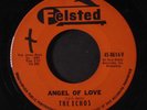 ECHOS: Angel Of Love / Twistin' Town 45 Hear  (xol) Vocal Groups
