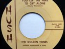 GOLDEN TONES 45 You Left Me Here to Cry.../Ocean of Tears HUSH doowop VG++ ws397