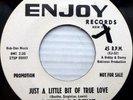 BETTY BOOTHE northern soul promo ENJOY 45 JUST A LITTLE BIT OF TRUE LOVE JR955
