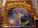 Van Morrison Blowin' Your Mind  LP sealed vinyl RE reissue Blowing Sundazed