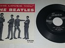 BEATLES 1964 MONO SWAN SHE LOVES YOU / I'LL GET YOU PICTURE SLEEVE AND 45 VG+/EX