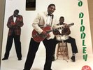BO DIDDLEY DEBUT ALBUM, LTD EDITION 180 GRAM VIRGIN AUDIOPHILE LP Import