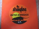 The Stranglers: Peasant in the Big Shitty 7