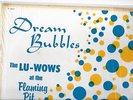 DREAM BUBBLES THE LU WOWS AT THE FLAMING PIT PASTE ON COVER OUTSIDER ORGAN LP