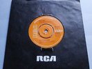 Iggy Pop - Success / Passenger UK 1977 RCA 7