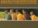 `Beach Boys, The - Today  (Mono) [LP] (200 Gram Audiophile Vinyl)`  VINYL LP NEW