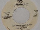 Leo & Sherry - You Are My Everything - Barbara Jean BJI-755 - Northern Soul RARE