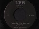 MATADORS: Please Say You Want Me / Should I Ever Love Again 45 (very sl warp dn