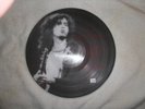 Led Zeppelin White Summer picture disc LP # 215 of 375 copies EXCELLENT VINYL
