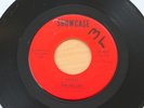 DELCOS Arabia/These Three Little Words 45 Doo Wop Northern Soul HEAR