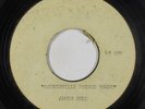 C&W Bopper Acetate 45 - James Reed - Moundsville Prison Bound - mp3