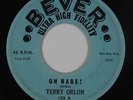 R&B Rocker/Blues 45 - Terry Orlon - Oh Babe  - Bever - mp3