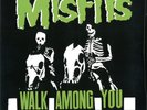 MISFITS WALK AMONG YOU  DETROIT 4/23/83 sealed 180 GRAM VINYL LP, NEW IMPORT