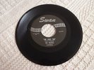 THE BEATLES SHE LOVES YOU/I'LL GET BY  SWAN 4152