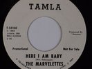 THE MARVELETTES: Here I AM Baby TAMLA ’66 Northern Soul PROMO 45 NM-