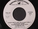 GLASS FAMILY: Radio Spots For The Lp Electric Band 45 (dj, company sleeve, rare