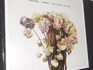 Sleater-Kinney: 