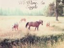 Bill Callahan-Sometimes I Wish We Were An Eagle  (US IMPORT)  VINYL NEW