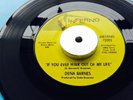 ******* DENA BARNES ******         IF YOU EVER WALK OUT OF MY LIFE*NORTHERN SOUL