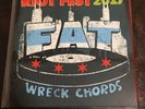 Riot Fest Fat Wreck Flexi 2017 Pears Direct Hit Bad Cop Teenage Bottlerocket