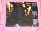 PARADISE LOST - GOTHIC - RARE 10tr LP - UK 1991 - RED VINYL - 1st PRESSING