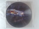 Amon Amarth Vinyl Picture Disc LP: Deceiver of the Gods 2013 / limitiert