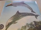 Orange Juice - You Can´t Hide Your Love Forever - LP 180g Vinyl  // Neu & OVP