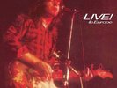 Rory Gallagher-Live In Europe  Vinyl / 12