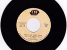 EARLY ALABAMA 45RPM - WILDCOUNTRY ON LSI - RARE   GREAT