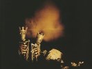 PEARL JAM - Riot Act (remastered) - Vinyl (gatefold 2xLP + booklet)
