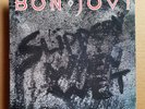 BON JOVI *Slippery When Wet * Orig Vintage 1986 Mercury Records US-DG-LP