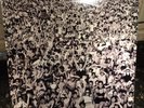 GEORGE MICHAEL LISTEN WITHOUT PREJUDICE 1990 LP Sealed Vintage