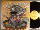 Catfish Hodge  Live Catfish   Blues Rock