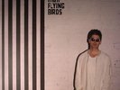 NOEL GALLAGHER'S HIGH FLYING BIRDS - Chasing Yesterday - Vinyl (LP)