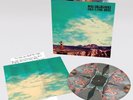 NOEL GALLAGHER'S HIGH FLYING BIRDS WHO BUILT THE MOON LTD PICTURE DISC VINYL LP