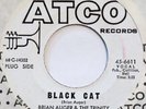 BRIAN AUGER Black Cat ATCO 45 mod Hammond freakbeat 7” VG++ HEAR mp3