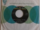 SUZI JANE HOKOM need all the help i can get/home on MGM 1966 single ?