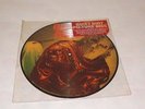 VINYL ALBUM RECORD QUIET RIOT METAL HEALTH PICTURE DISC 1983 8Z8-39203