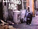 FLEETWOOD MAC - Peter Green's Fleetwood Mac - Vinyl (180 gram vinyl LP)