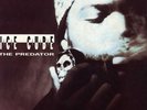 Ice Cube - The Predator '92 LP US ORG  (EX/EX)