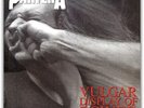 WEA Pantera - Vulgar Display Of Power 180 Gram Vinyl 2LP
